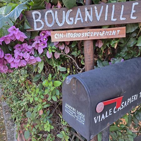 Casa Vacanze “Bouganville” Loc Avane Pisa ヴェッキアーノ エクステリア 写真
