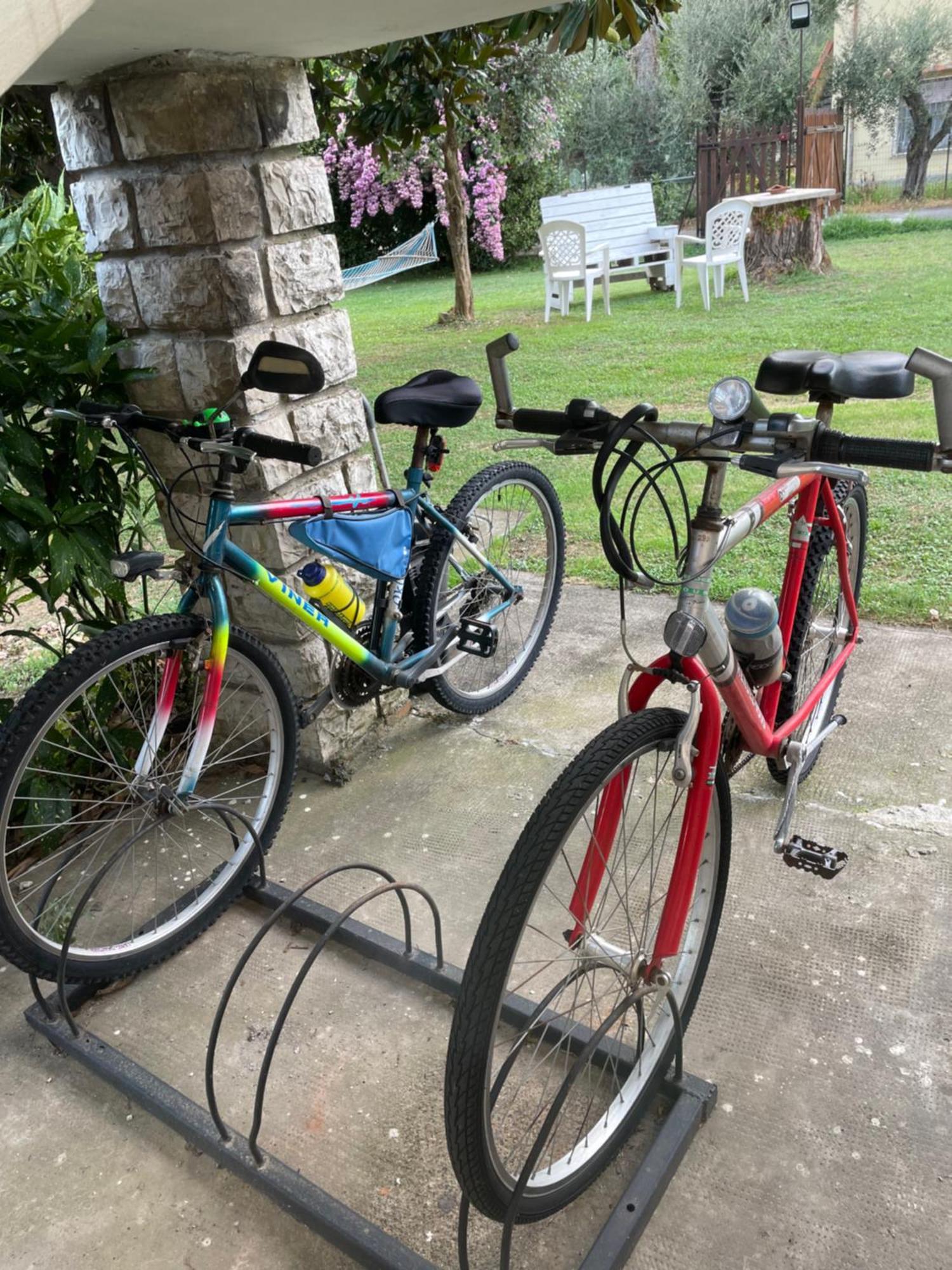 Casa Vacanze “Bouganville” Loc Avane Pisa ヴェッキアーノ エクステリア 写真