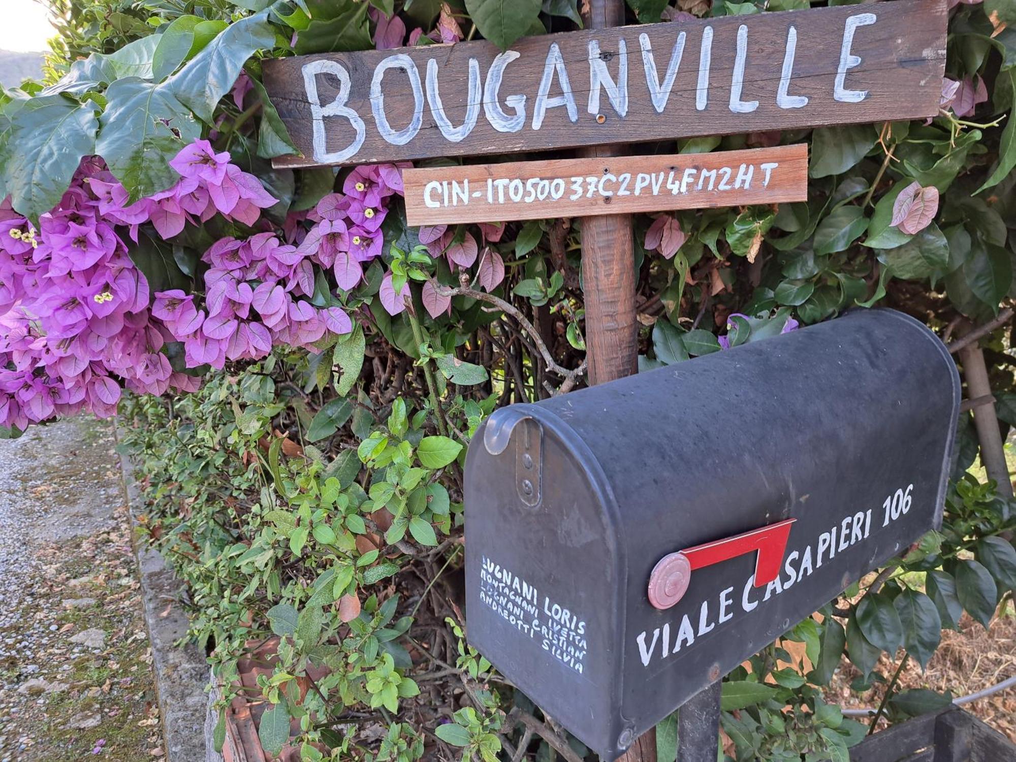Casa Vacanze “Bouganville” Loc Avane Pisa ヴェッキアーノ エクステリア 写真